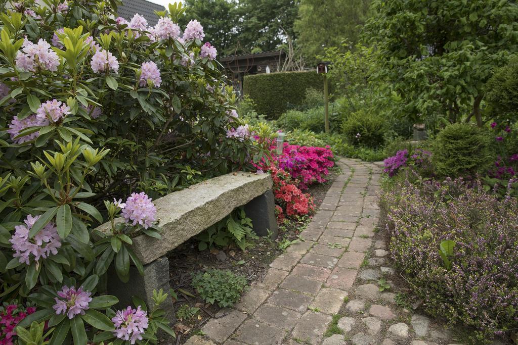 Bed & Breakfast Хорсенс Экстерьер фото